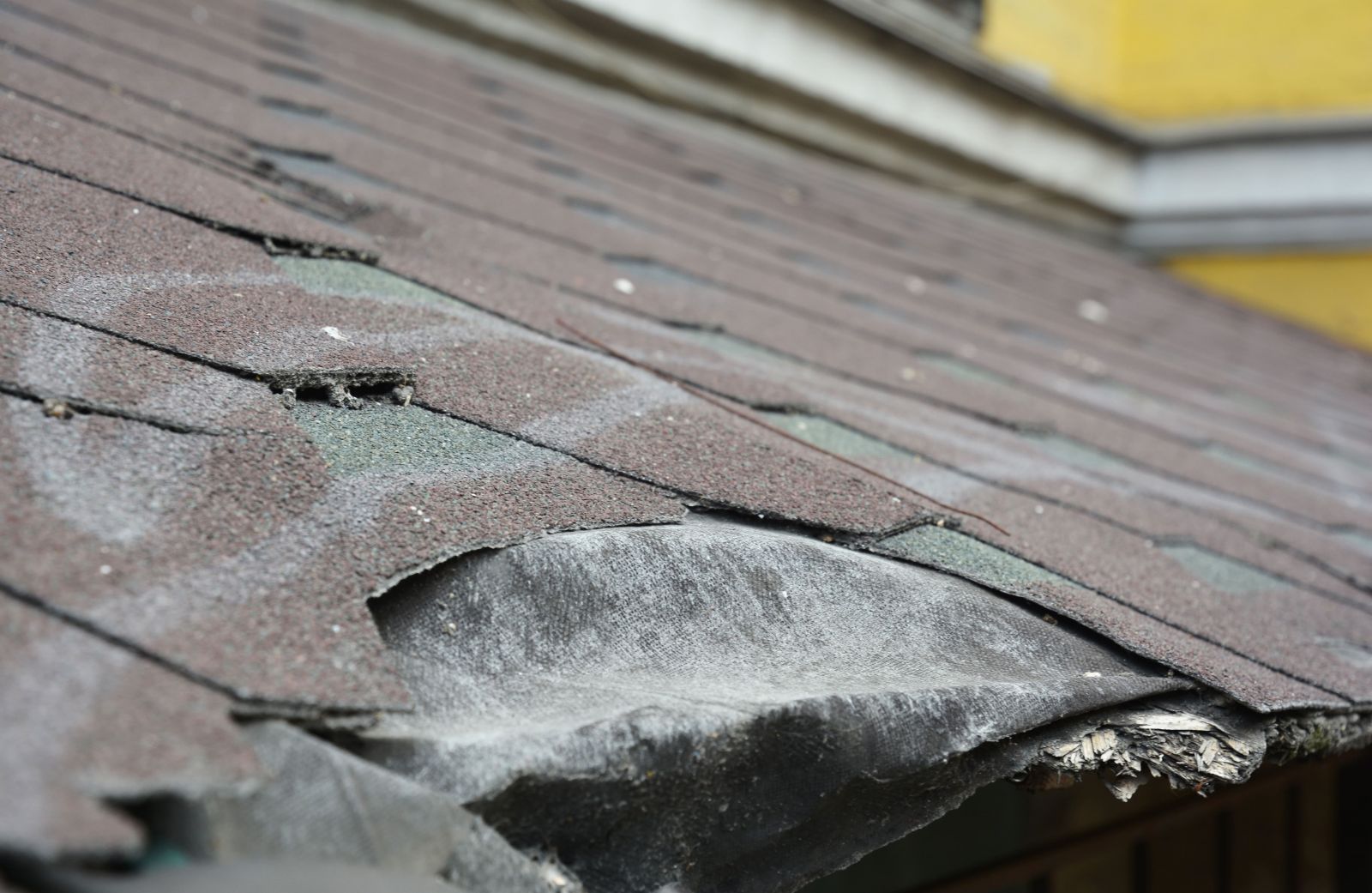 Threadgill's Roofing Images