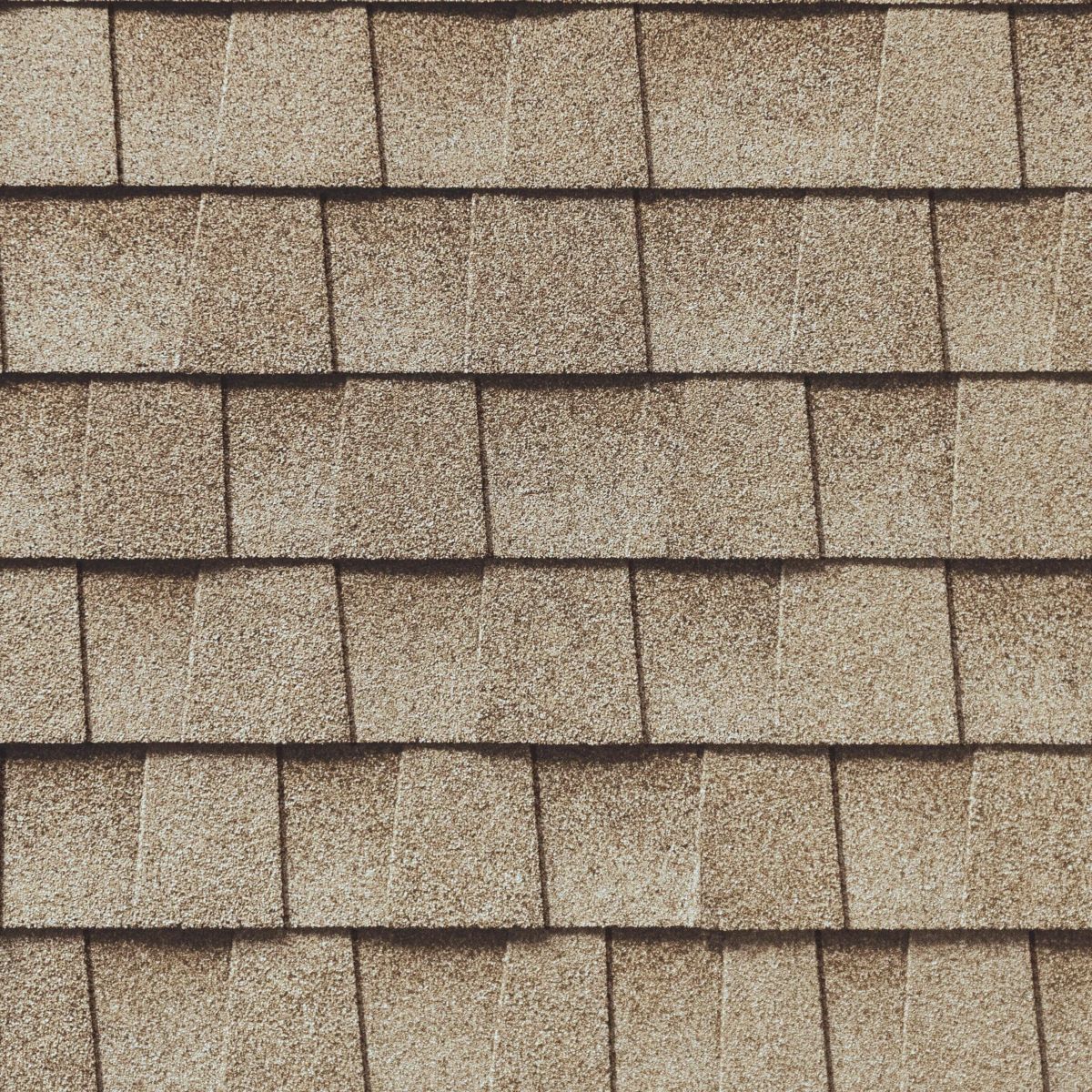 Threadgill's Roofing Images