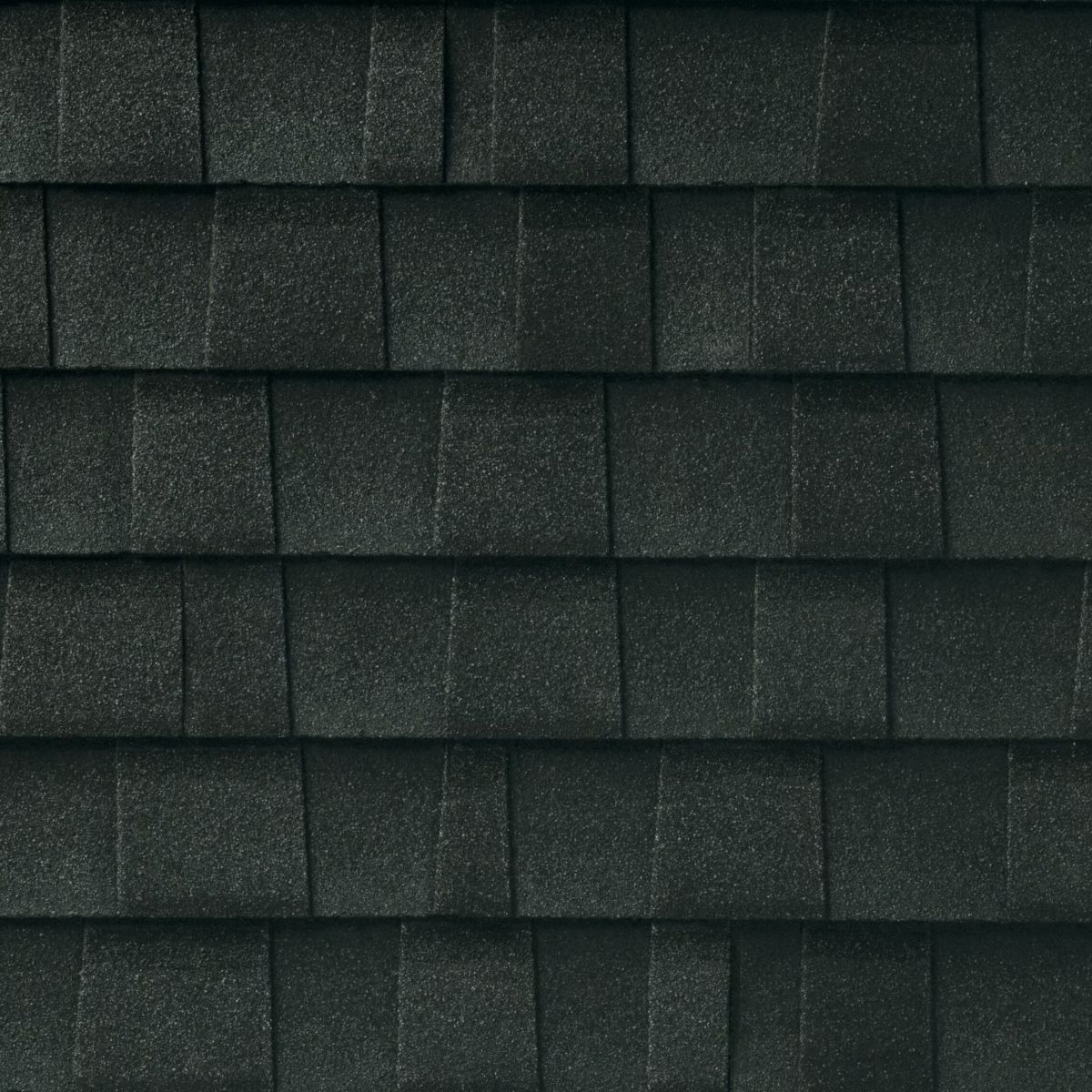 Threadgill's Roofing Images