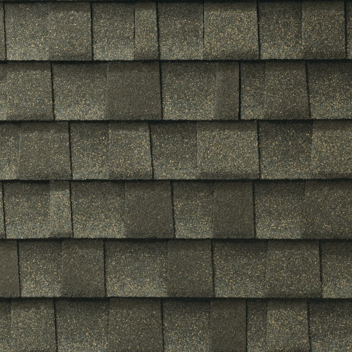 Threadgill's Roofing Images