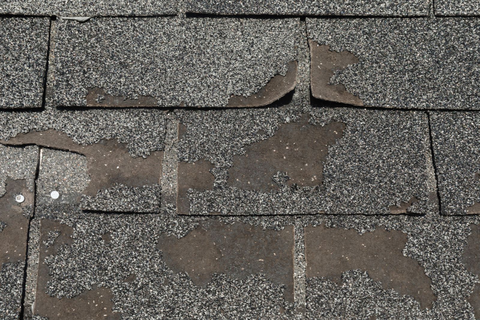Threadgill's Roofing Images