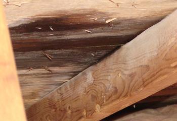 Threadgill's Roofing Images
